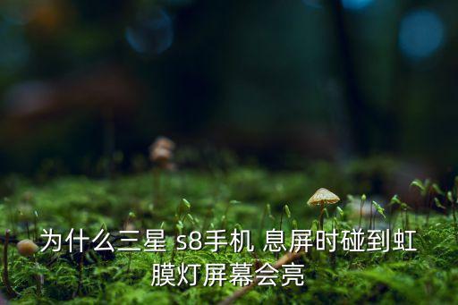 s8 息屏自動關(guān)閉,設(shè)置虹膜解鎖前需設(shè)置安全屏鎖類型