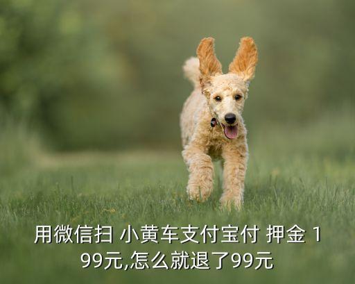 用微信掃 小黃車支付寶付 押金 199元,怎么就退了99元
