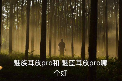 魅族耳放pro和 魅藍(lán)耳放pro哪個(gè)好