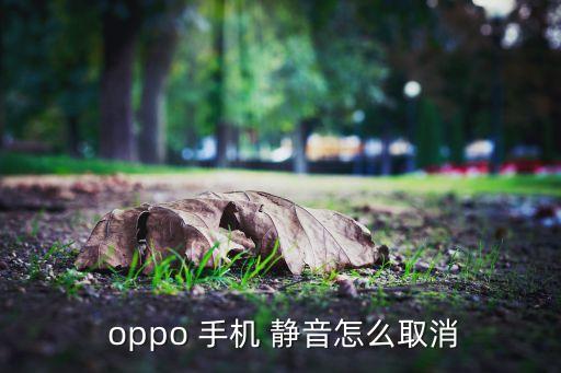  oppo 手機 靜音怎么取消