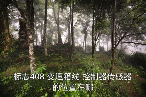 自動(dòng)變速箱控制器,自動(dòng)變速箱控制系統(tǒng)原理圖說(shuō)明