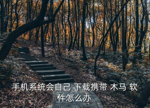 手機系統(tǒng)會自己 下載攜帶 木馬 軟件怎么辦