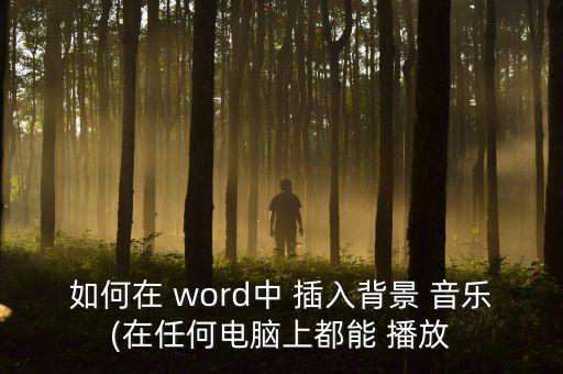 如何在 word中 插入背景 音樂(在任何電腦上都能 播放
