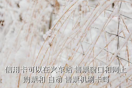 信用卡可以在火車(chē)站 售票窗口和網(wǎng)上購(gòu)票和 自動(dòng) 售票機(jī)刷卡嗎