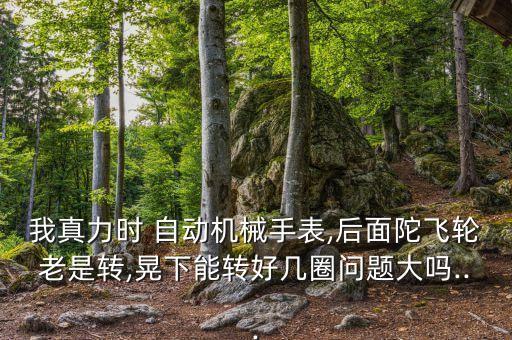 我真力時 自動機械手表,后面陀飛輪老是轉(zhuǎn),晃下能轉(zhuǎn)好幾圈問題大嗎...