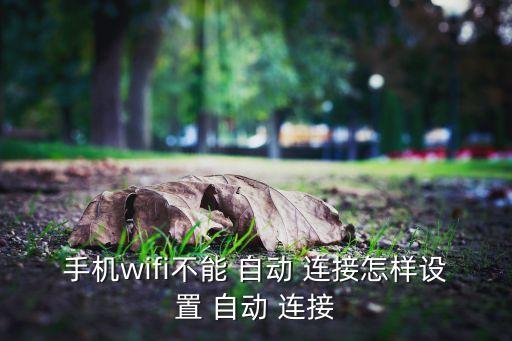 咋樣斷開自動(dòng)連接,怎么斷開wifi連接?