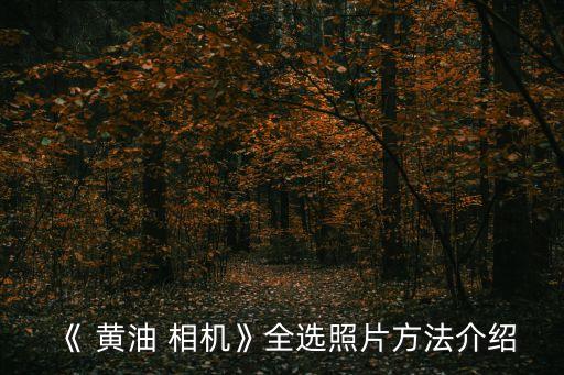 黃油相機(jī)自動剪裁,怎么用黃油相機(jī)拍照?看這里!