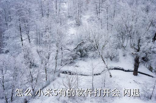 小米5自動(dòng)閃退,不穩(wěn)定網(wǎng)絡(luò)或?qū)е率謾C(jī)斷網(wǎng)和閃退