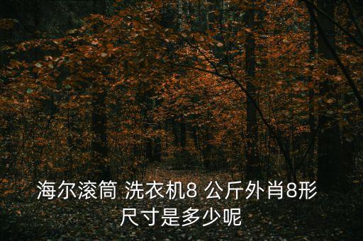 海爾滾筒 洗衣機(jī)8 公斤外肖8形 尺寸是多少呢