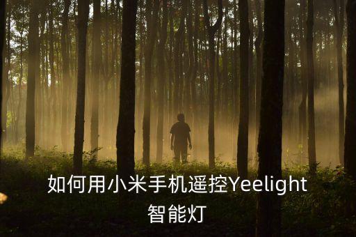 yeelight彩光燈 自動關(guān),這款手機(jī)應(yīng)用如何搭配?