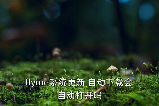  flyme系統(tǒng)更新 自動(dòng)下載會(huì) 自動(dòng)打開(kāi)嗎