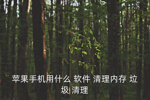 蘋果手機用什么 軟件 清理內(nèi)存 垃圾 清理