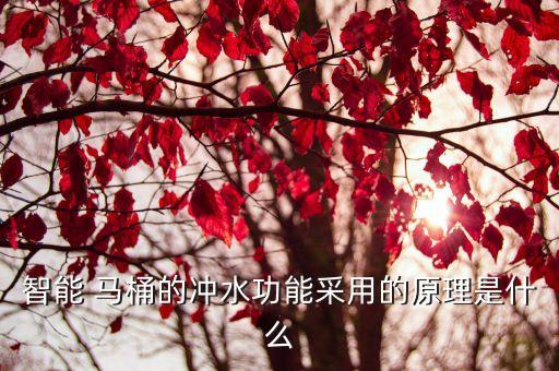 智能 馬桶的沖水功能采用的原理是什么