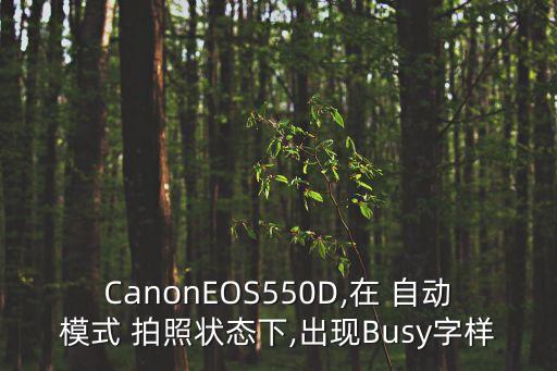 CanonEOS550D,在 自動(dòng)模式 拍照狀態(tài)下,出現(xiàn)Busy字樣