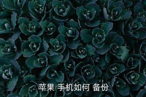  蘋果 手機(jī)如何 備份