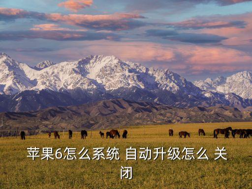  蘋果6怎么系統(tǒng) 自動(dòng)升級(jí)怎么 關(guān)閉