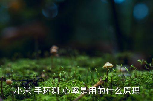 小米手環(huán)1自動測心率,這些小米手環(huán)要你知道
