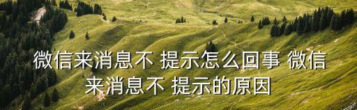 微信不自動提示消息,微信如果不想要消息提示可設(shè)置免打擾