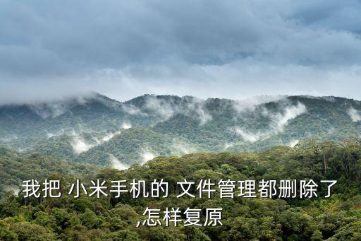 我把 小米手機(jī)的 文件管理都刪除了,怎樣復(fù)原
