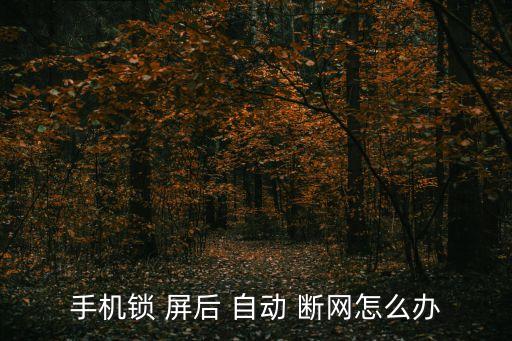 手機(jī)鎖 屏后 自動(dòng) 斷網(wǎng)怎么辦