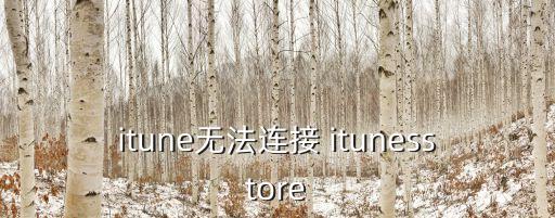 itune無法連接 itunesstore