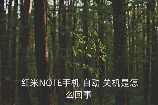 紅米note發(fā)熱自動關(guān)機(jī),紅米note怎么了?