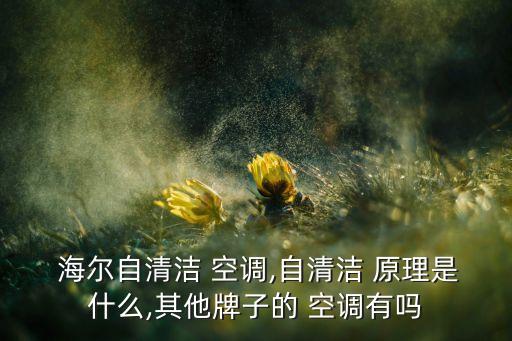 海爾自清潔 空調(diào),自清潔 原理是什么,其他牌子的 空調(diào)有嗎