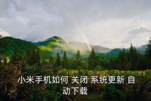 小米關(guān)閉系統(tǒng)自動(dòng),小米手機(jī)怎么關(guān)閉系統(tǒng)自動(dòng)更新?