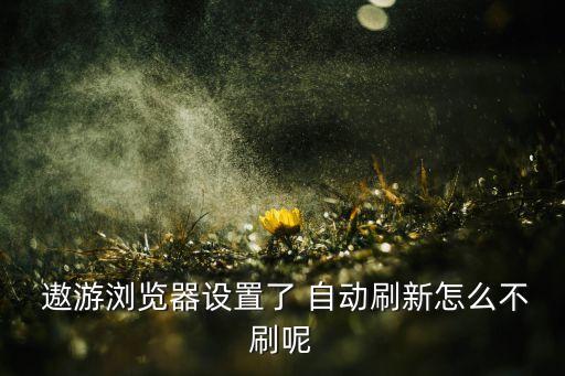 關(guān)閉遨游自動(dòng)更新,6.將頻率設(shè)置為1秒然后點(diǎn)擊自動(dòng)刷新