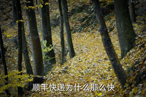 順豐自動(dòng)化分揀系統(tǒng),順豐快遞智能分揀系統(tǒng)快遞到港只需半小時(shí)