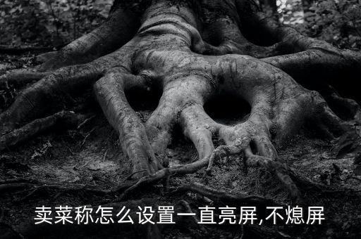 賣菜稱怎么設(shè)置一直亮屏,不熄屏