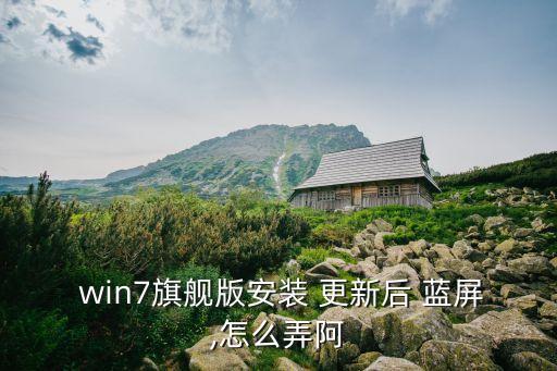  win7旗艦版安裝 更新后 藍屏,怎么弄阿