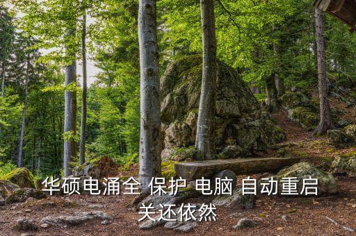  華碩電涌全 保護(hù) 電腦 自動(dòng)重啟關(guān)還依然