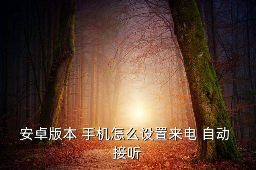 手機(jī)自動接聽軟件塞班,塞班手機(jī)安全助理如何安裝?