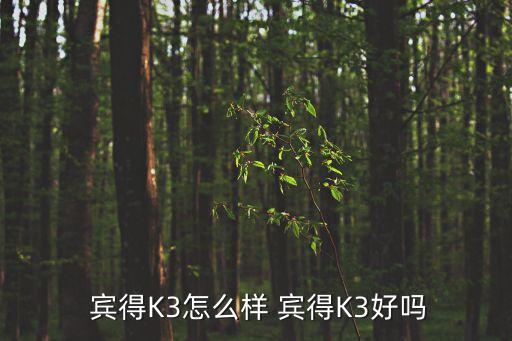  賓得K3怎么樣 賓得K3好嗎