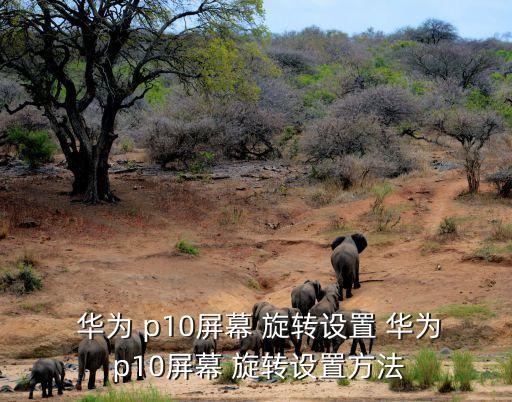 華為p10自動(dòng)旋轉(zhuǎn)圖片,手機(jī)應(yīng)用自動(dòng)旋轉(zhuǎn)選項(xiàng)可開啟或關(guān)閉