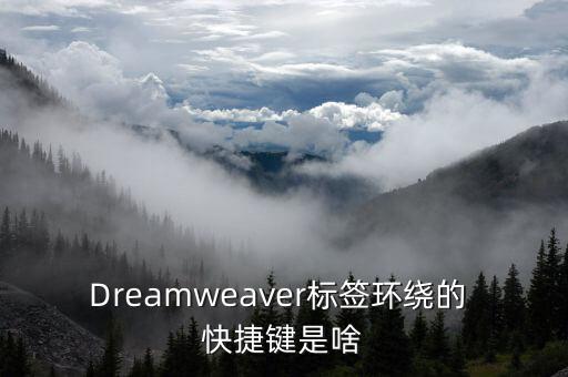 Dreamweaver標(biāo)簽環(huán)繞的 快捷鍵是啥