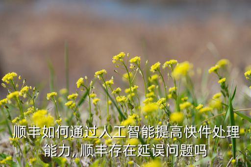  順豐如何通過(guò)人工智能提高快件處理能力, 順豐存在延誤問(wèn)題嗎