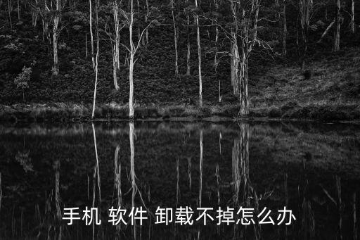 很多軟件被自動(dòng)卸載不了怎么辦啊,系統(tǒng)出現(xiàn)病例如何逃出系統(tǒng)?