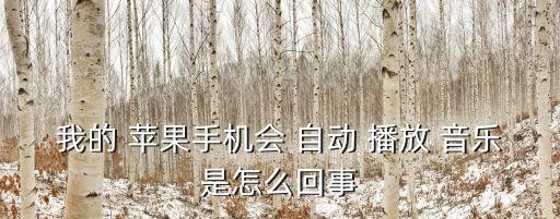 我的 蘋果手機(jī)會 自動 播放 音樂是怎么回事