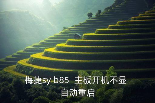 梅捷sy b85  主板開機不顯 自動重啟