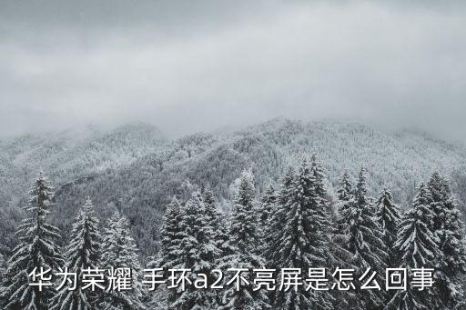 華為榮耀 手環(huán)a2不亮屏是怎么回事