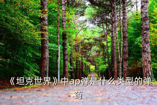 《坦克世界》中ap彈是什么類型的彈藥