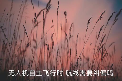 無(wú)人機(jī)自主飛行時(shí) 航線需要糾偏嗎