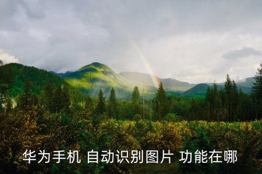 p10有沒有自動識臉功能,華為推出人臉識別系統(tǒng)和快捷欄