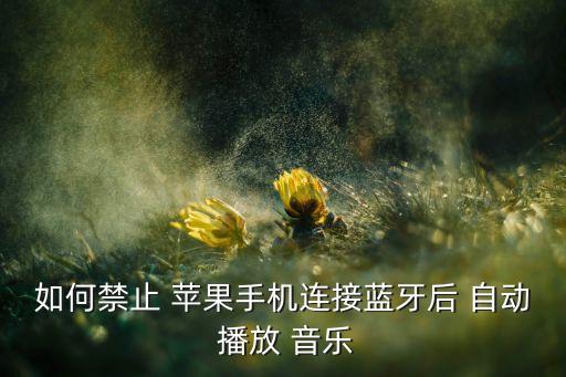 如何禁止 蘋果手機(jī)連接藍(lán)牙后 自動 播放 音樂
