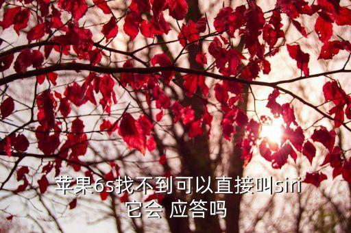  蘋果6s找不到可以直接叫siri它會(huì) 應(yīng)答嗎