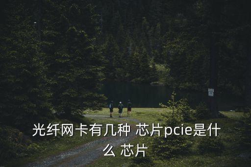 光纖芯片自動設備,新加坡人怎么用光纖飛秒找工作?