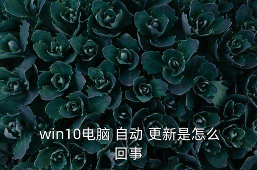  win10電腦 自動 更新是怎么回事