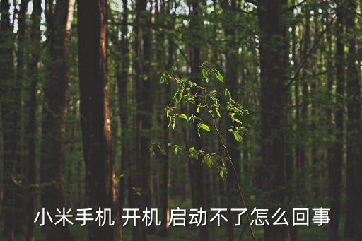  小米手機 開機 啟動不了怎么回事
